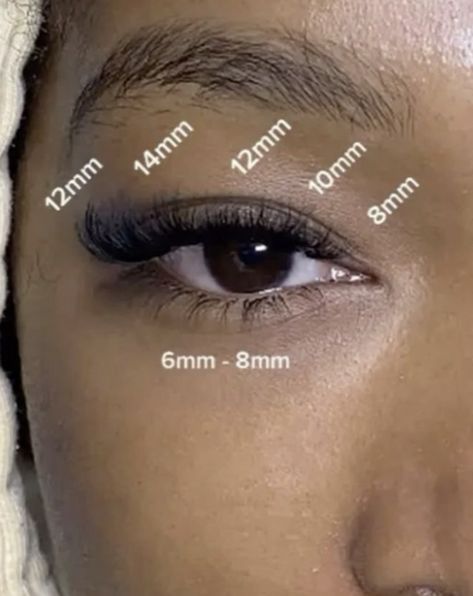 Lash and Brow